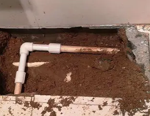 资兴测漏水哪家好