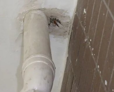 资兴漏水检测哪家好